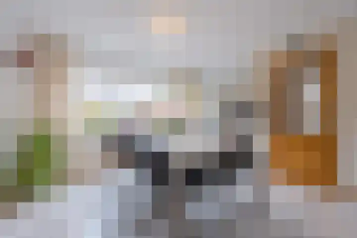 Mantet 18 Tiel thumbnail 17