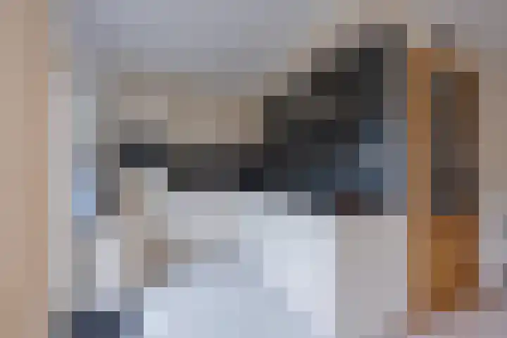 Mantet 18 Tiel thumbnail 19