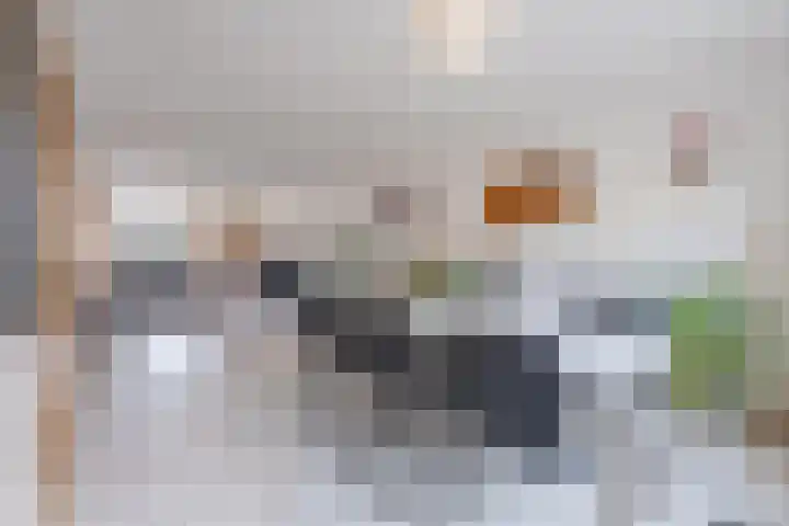 Mantet 18 Tiel thumbnail 22