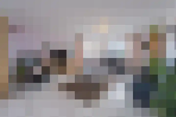 Mantet 18 Tiel thumbnail 24