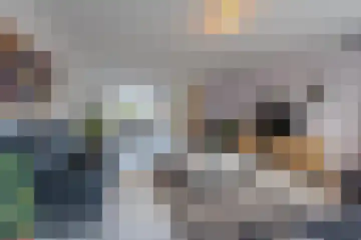 Mantet 18 Tiel thumbnail 25