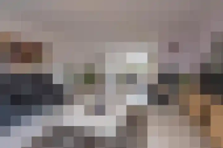 Mantet 18 Tiel thumbnail 26