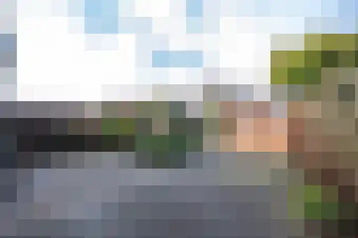 Mantet 18 Tiel foto 3
