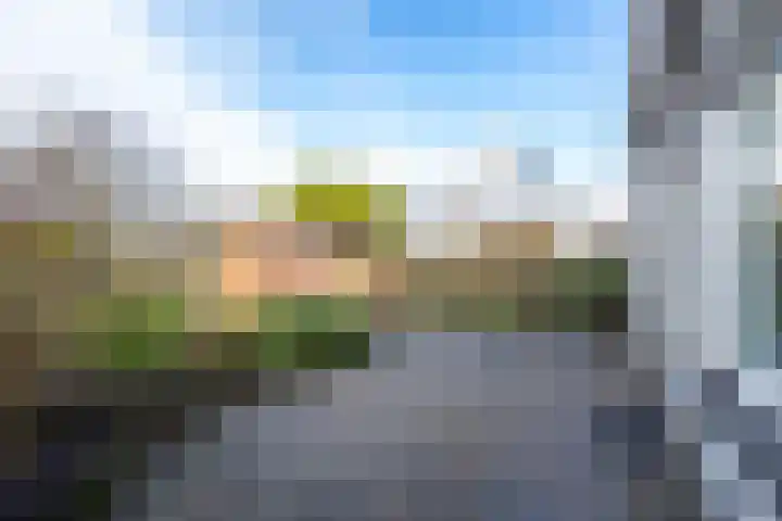 Mantet 18 Tiel thumbnail 31