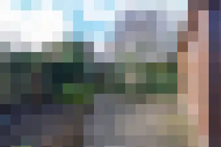 Mantet 18 Tiel thumbnail 33