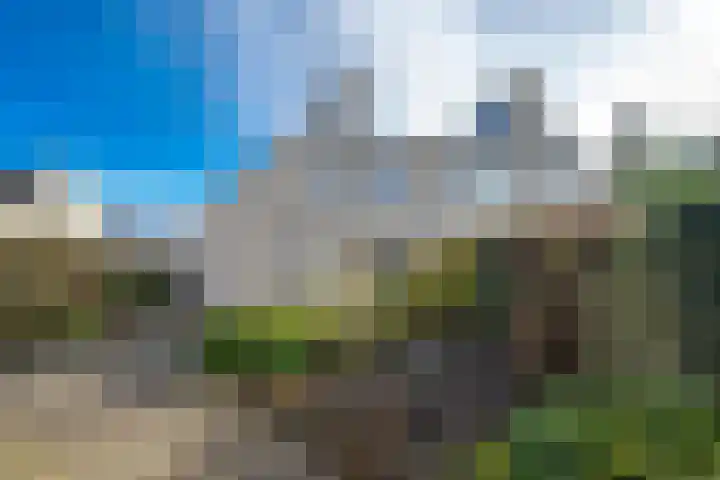 Mantet 18 Tiel thumbnail 34