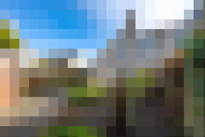 Mantet 18 Tiel thumbnail 35