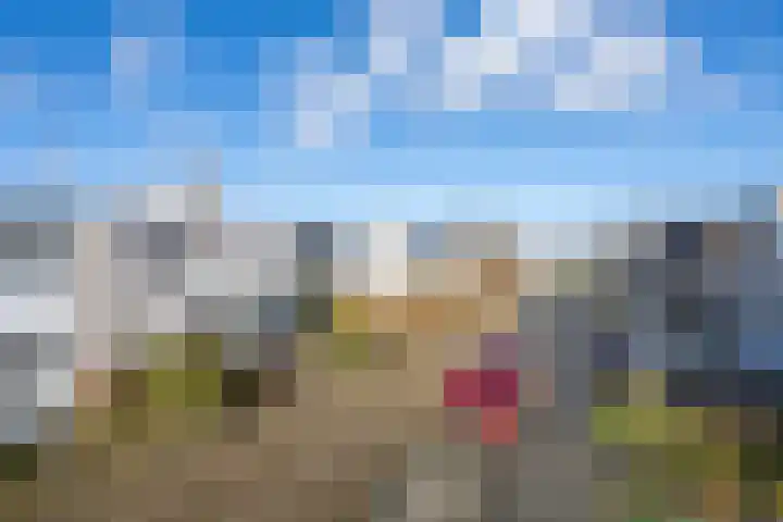 Mantet 18 Tiel thumbnail 4