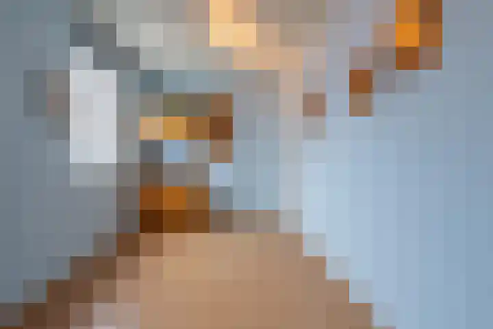 Mantet 18 Tiel thumbnail 40
