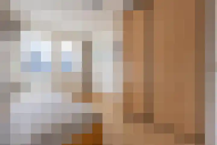 Mantet 18 Tiel thumbnail 41