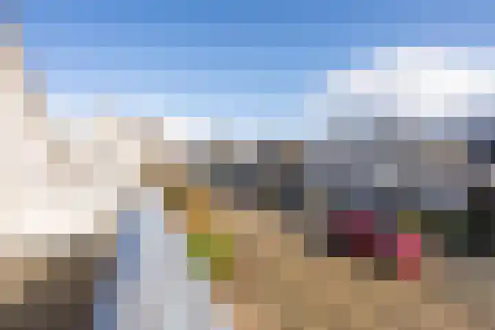 Mantet 18 Tiel thumbnail 43