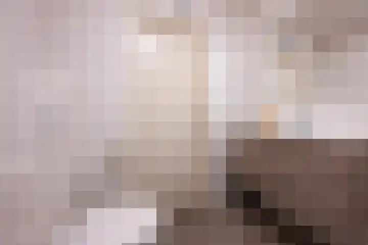 Mantet 18 Tiel thumbnail 50