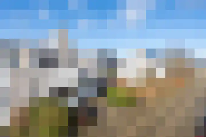 Mantet 18 Tiel thumbnail 7