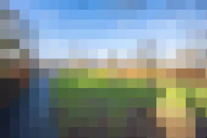 Mantet 18 Tiel thumbnail 8