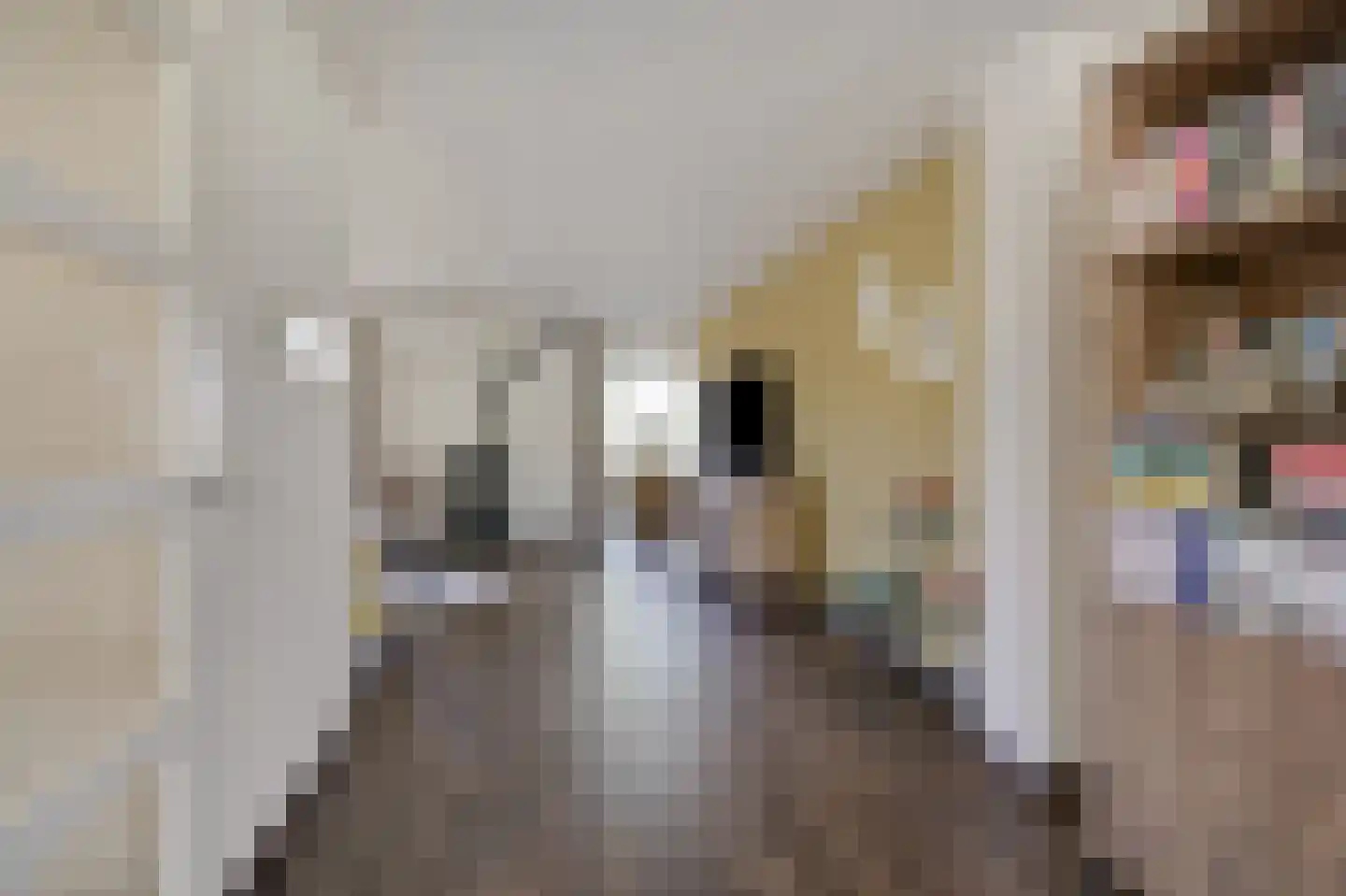 Mantet 3 Duiven thumbnail 13