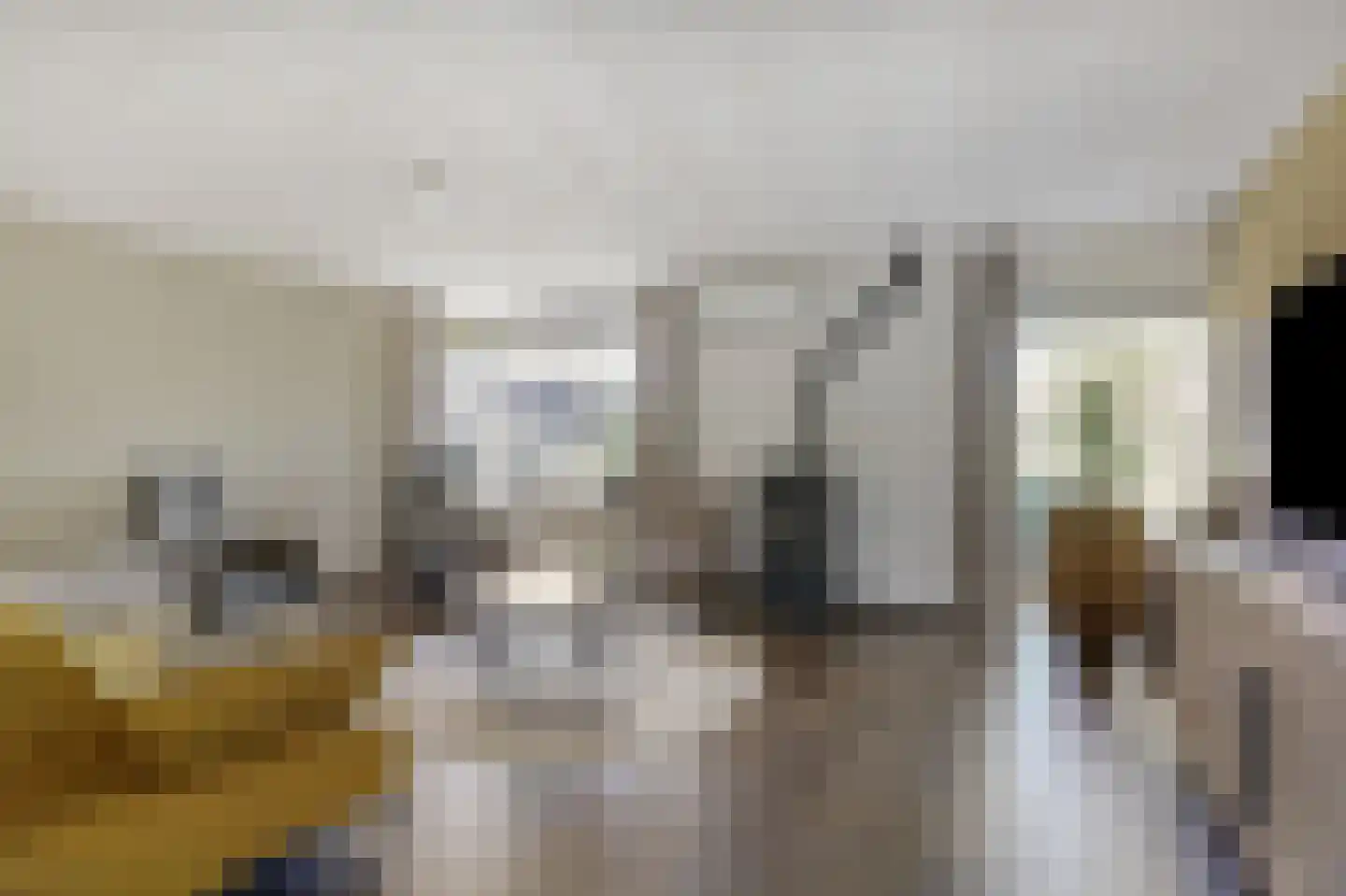 Mantet 3 Duiven thumbnail 14