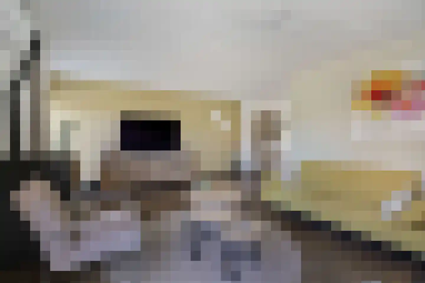 Mantet 3 Duiven thumbnail 17