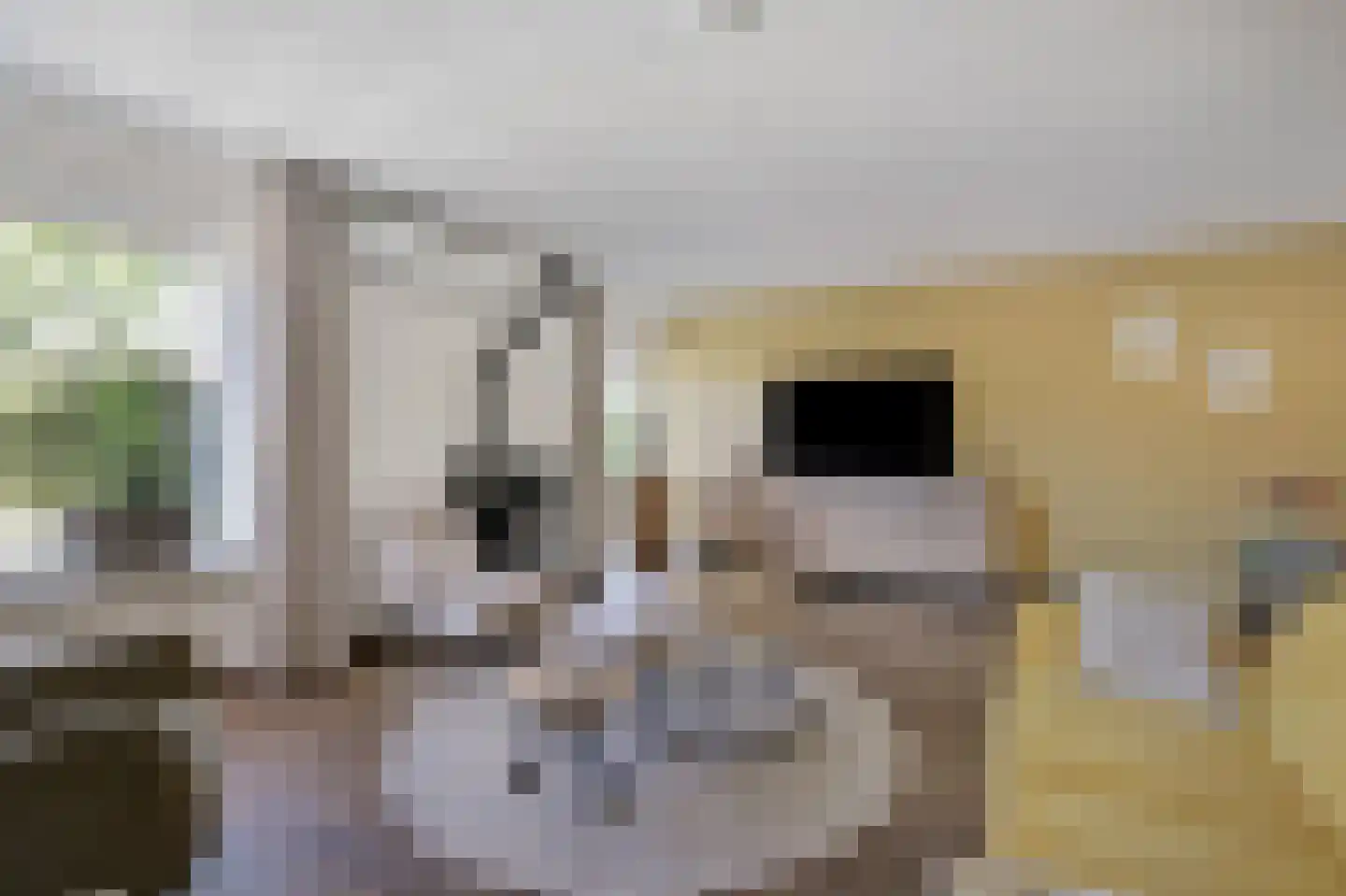 Mantet 3 Duiven thumbnail 18
