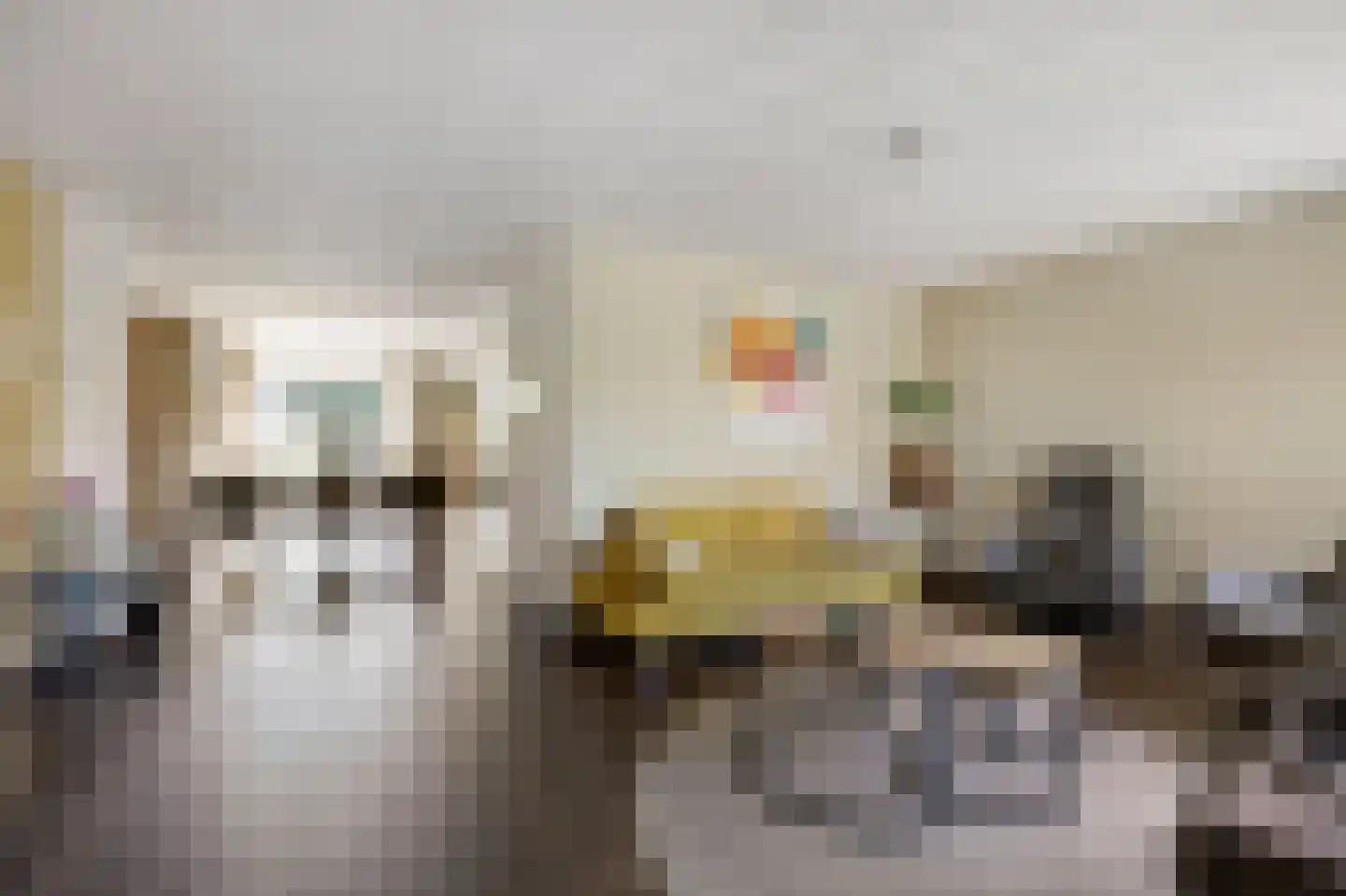 Mantet 3 Duiven thumbnail 19