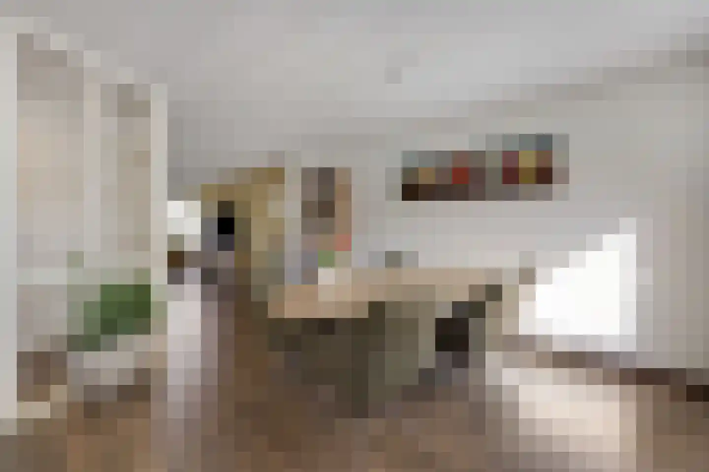 Mantet 3 Duiven thumbnail 20