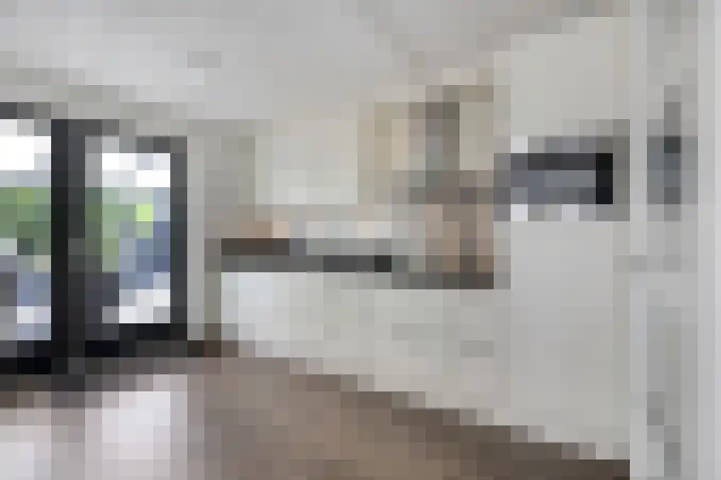 Mantet 3 Duiven thumbnail 22