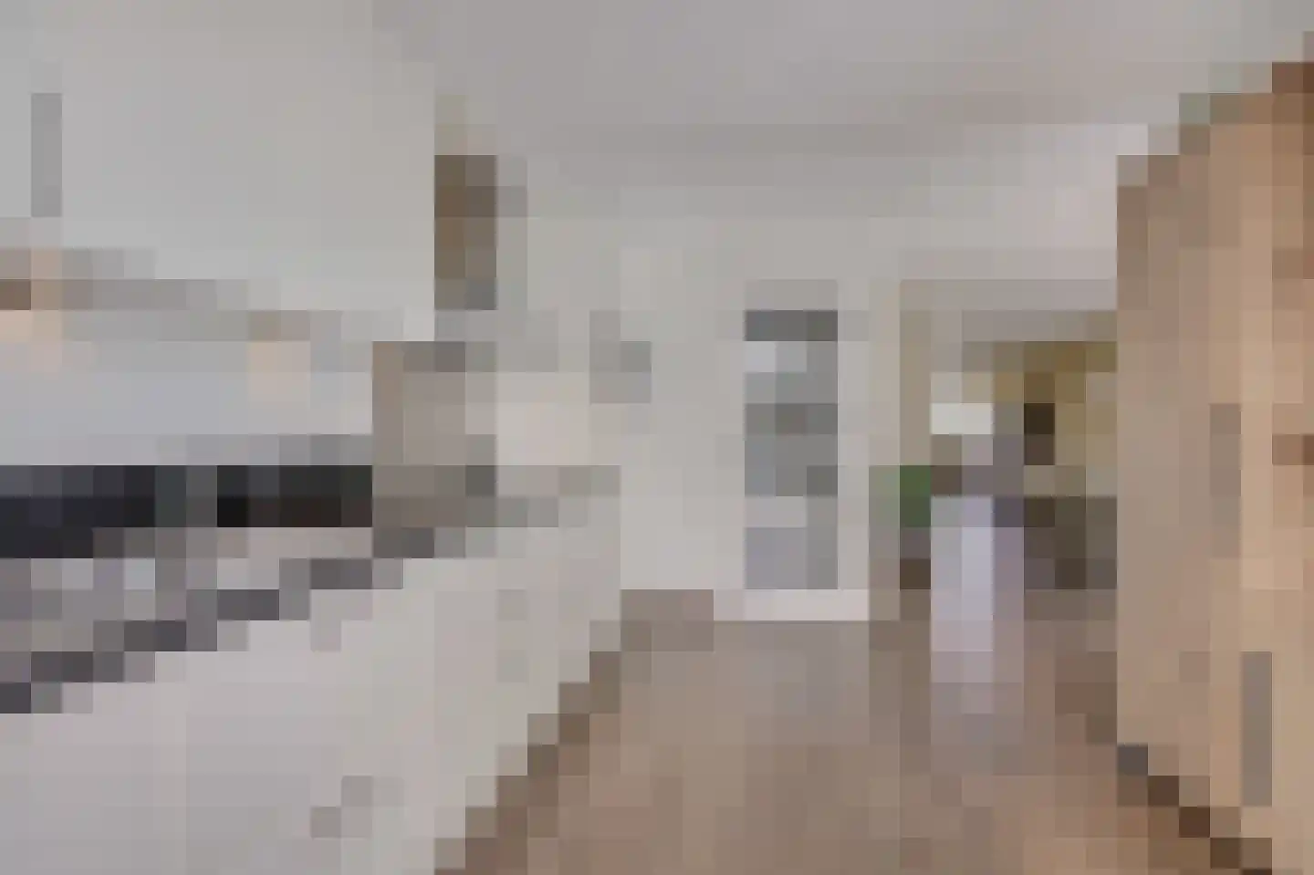 Mantet 3 Duiven thumbnail 24
