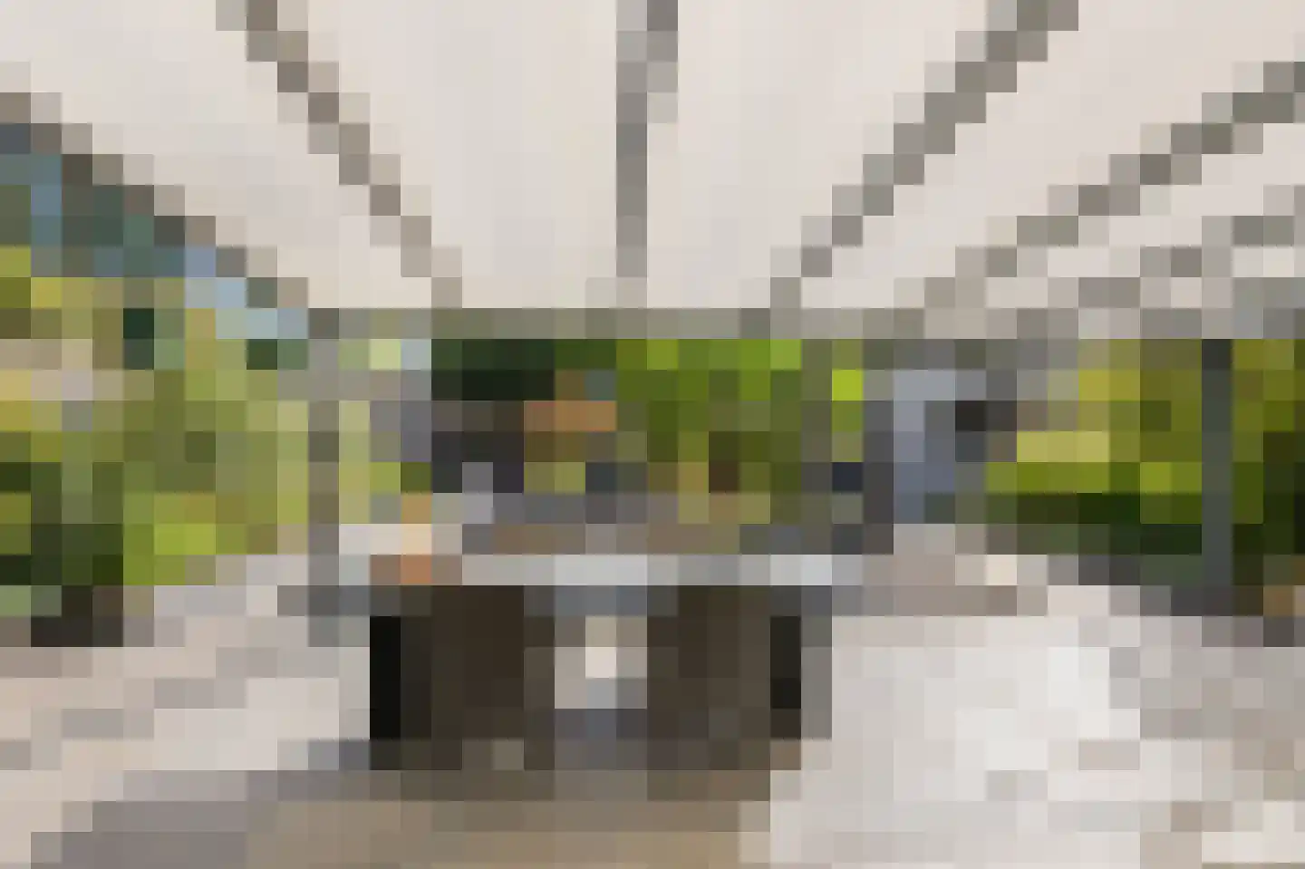 Mantet 3 Duiven thumbnail 26