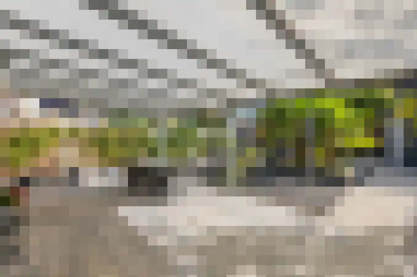 Mantet 3 Duiven thumbnail 27