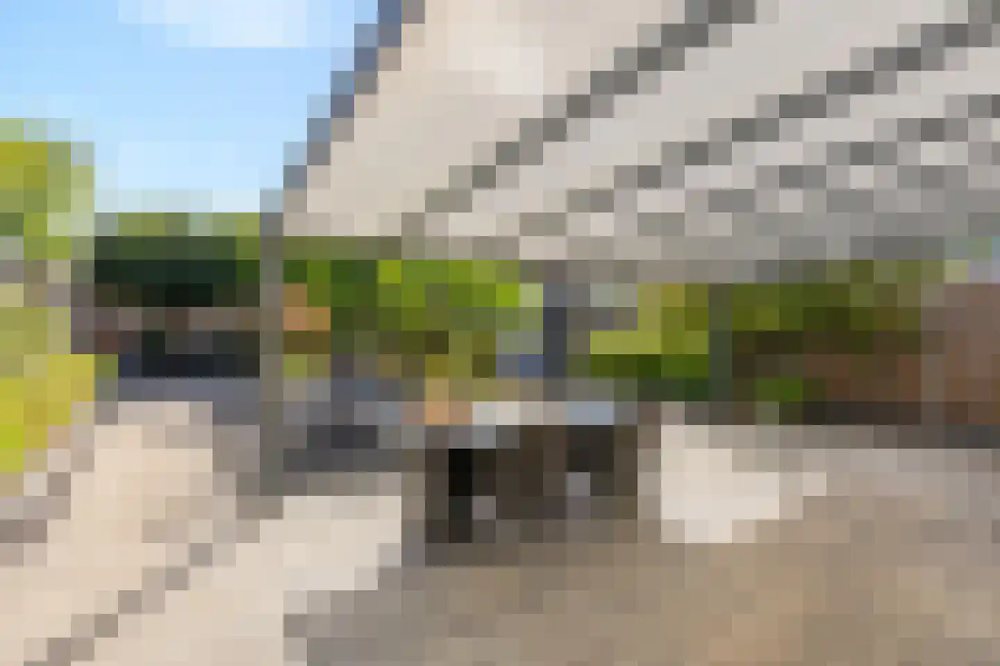 Mantet 3 Duiven thumbnail 28
