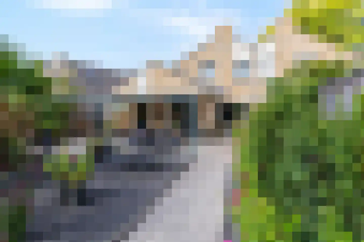 Mantet 3 Duiven thumbnail 29