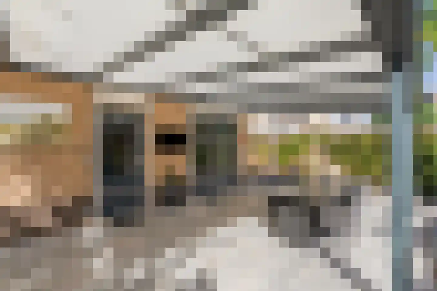 Mantet 3 Duiven thumbnail 30