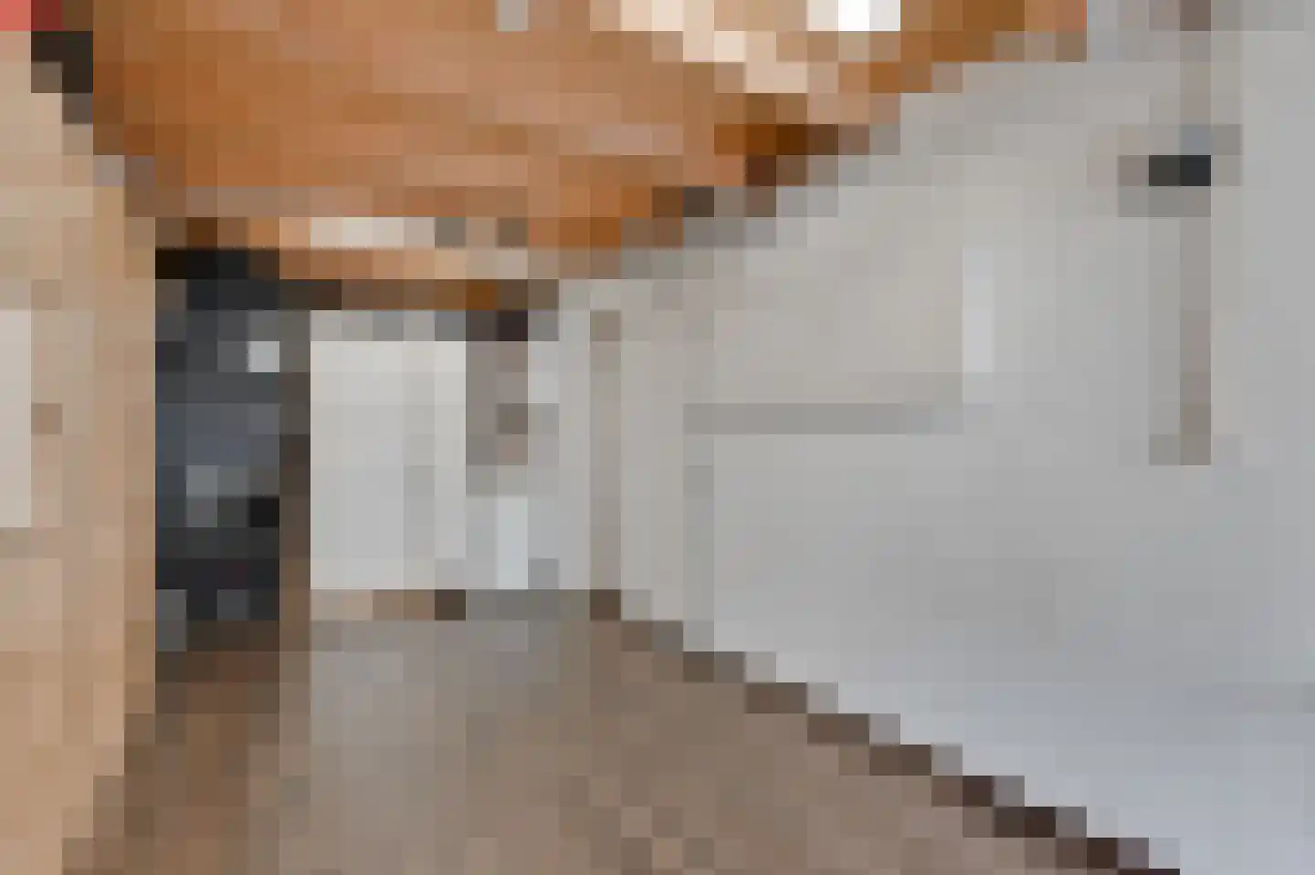 Mantet 3 Duiven thumbnail 31