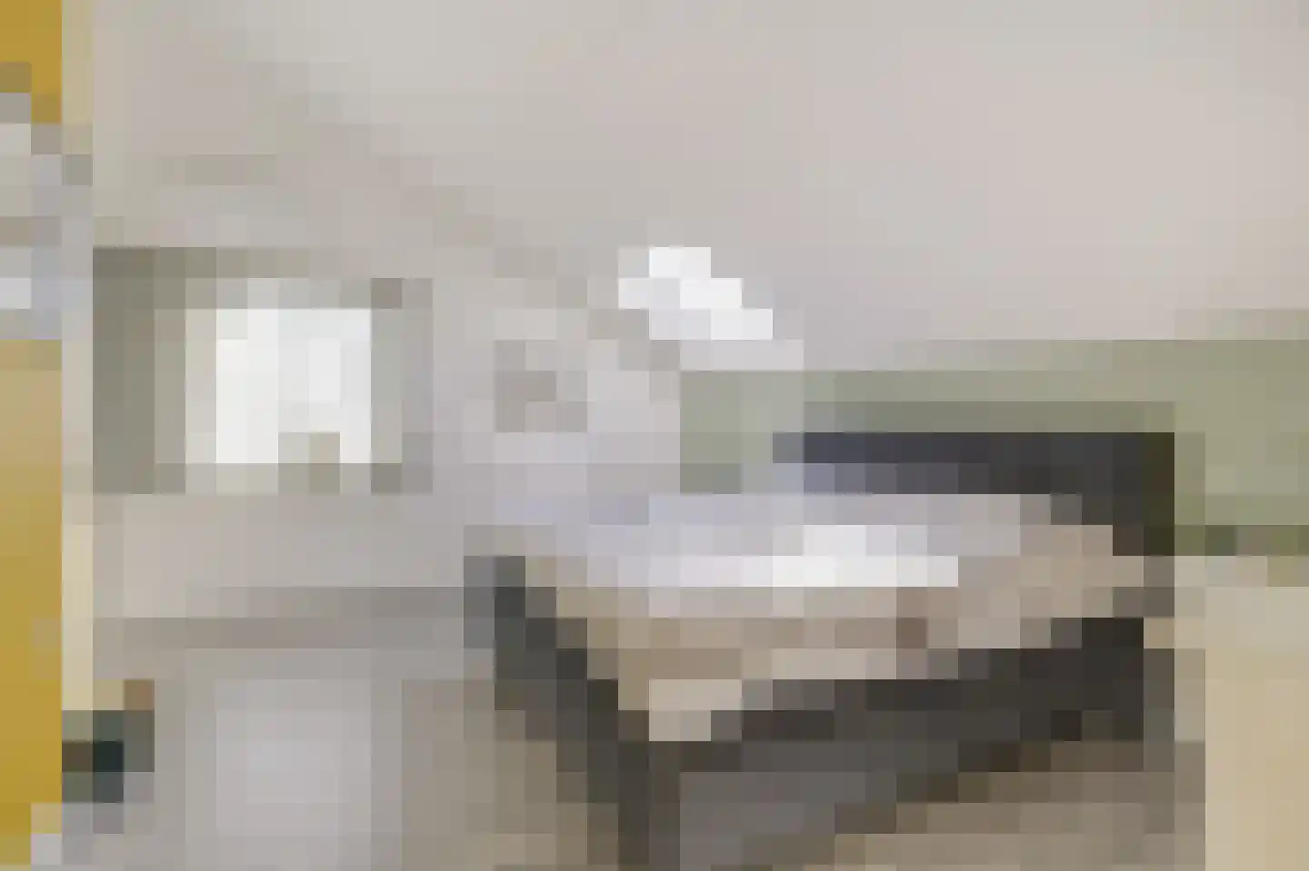 Mantet 3 Duiven thumbnail 37