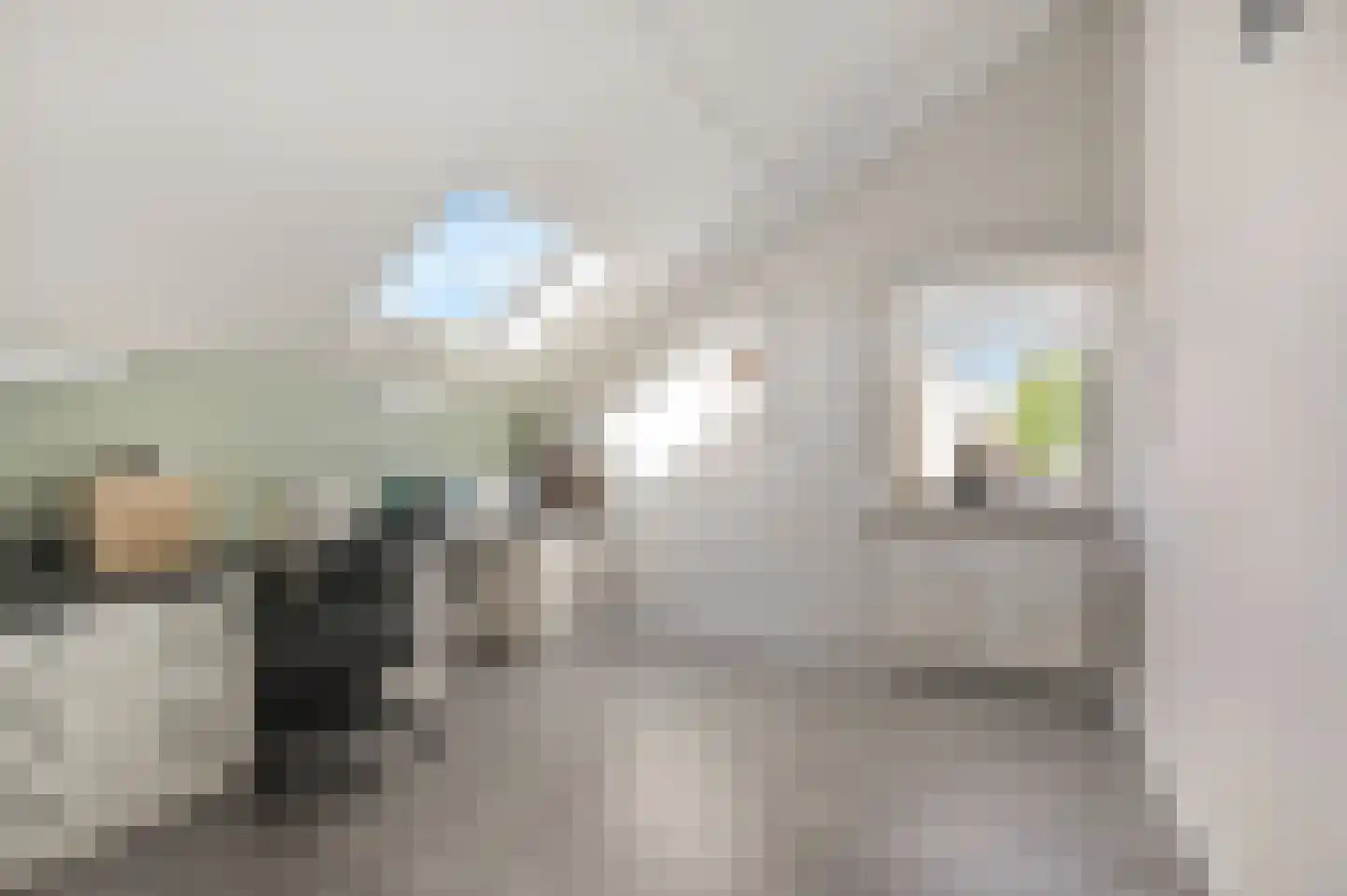 Mantet 3 Duiven thumbnail 40