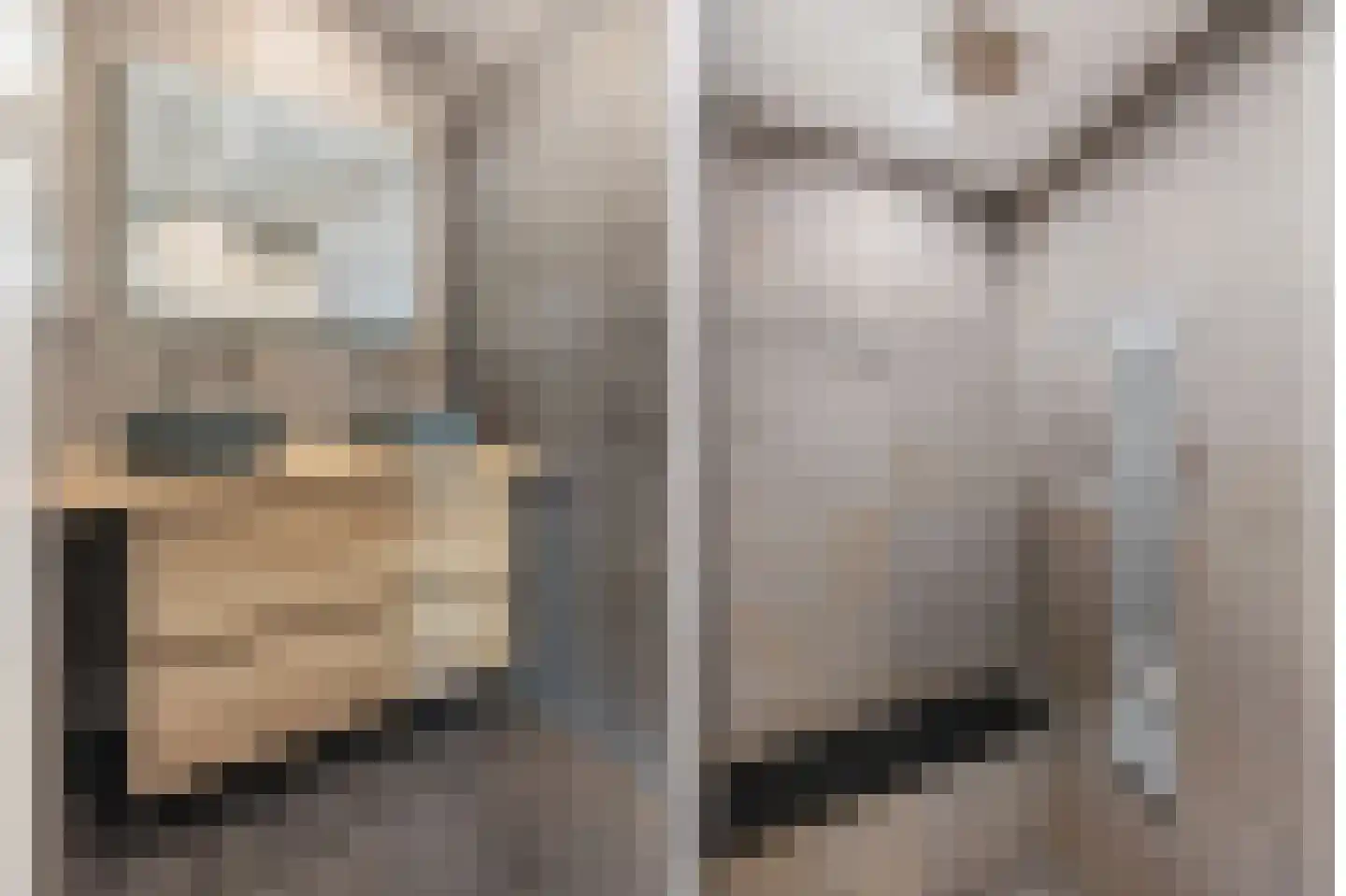 Mantet 3 Duiven thumbnail 45