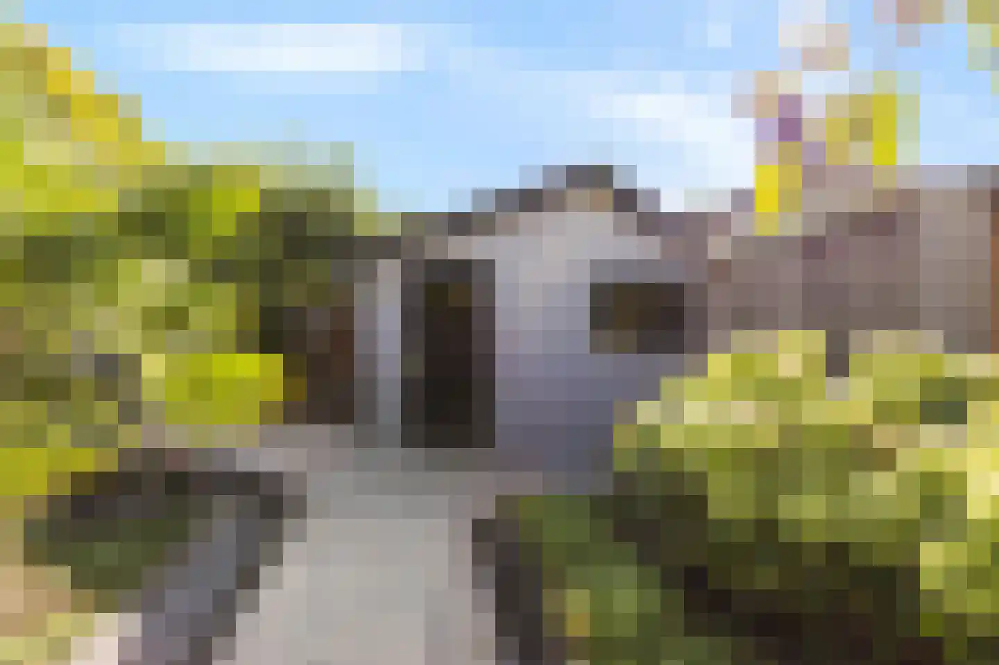 Mantet 3 Duiven thumbnail 49