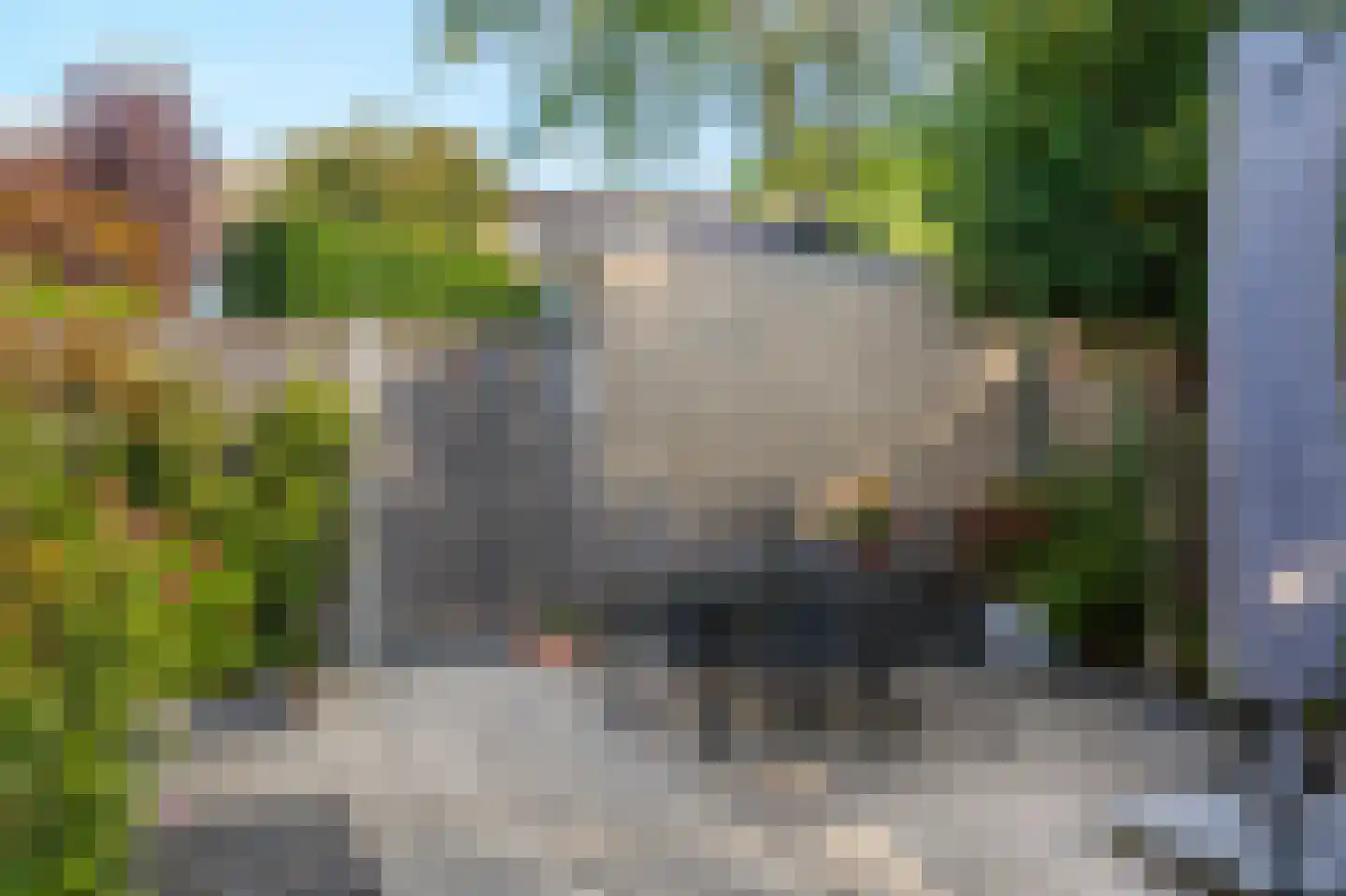 Mantet 3 Duiven thumbnail 51