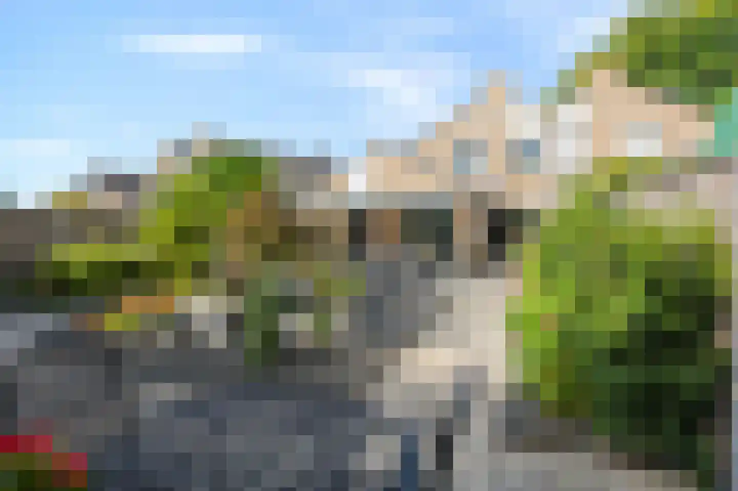 Mantet 3 Duiven thumbnail 52