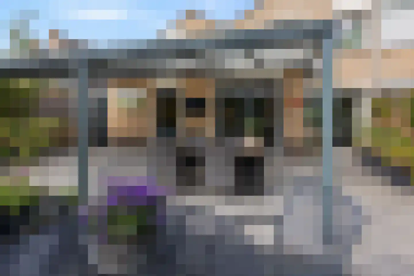 Mantet 3 Duiven thumbnail 54