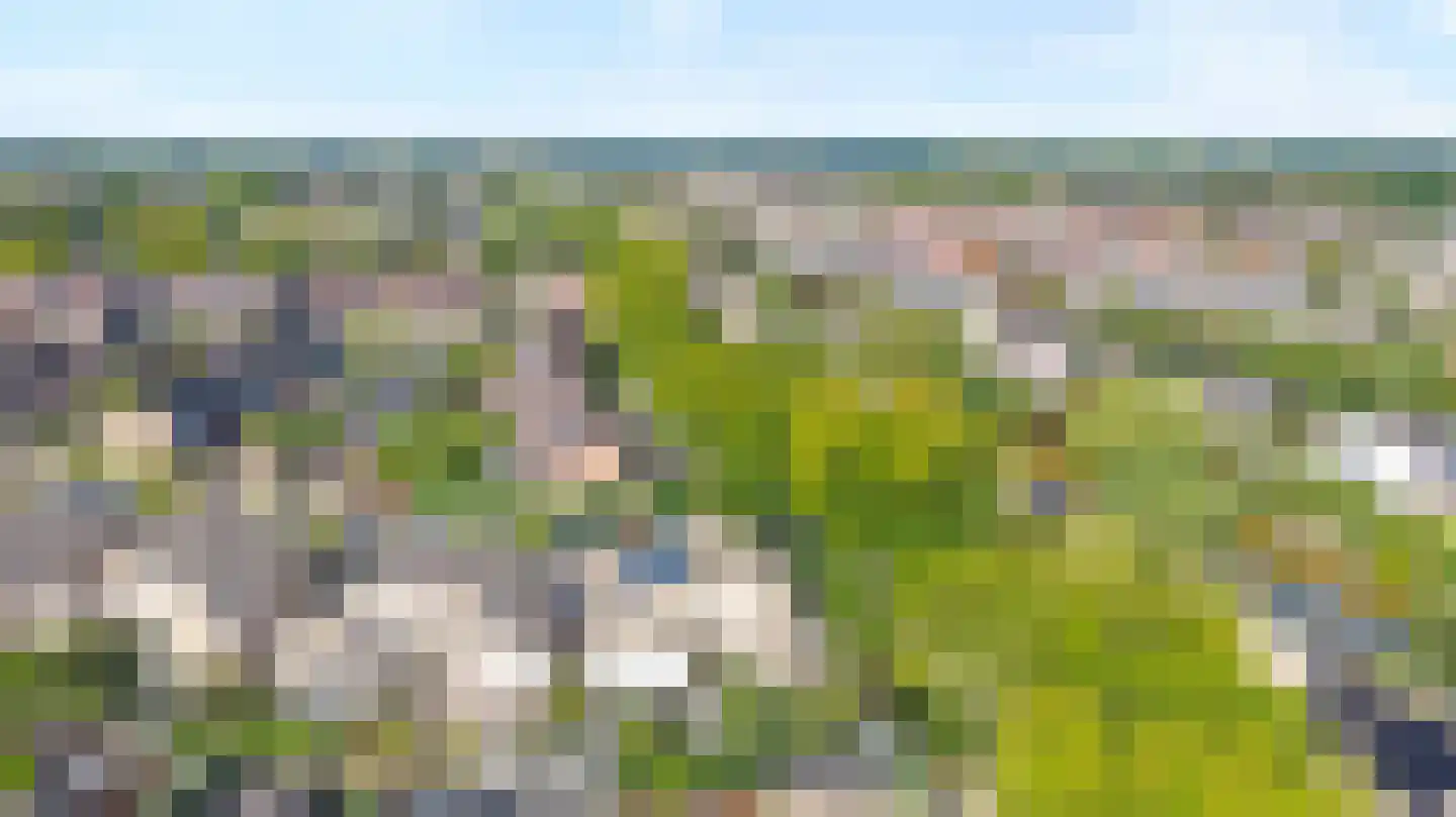 Mantet 3 Duiven thumbnail 56
