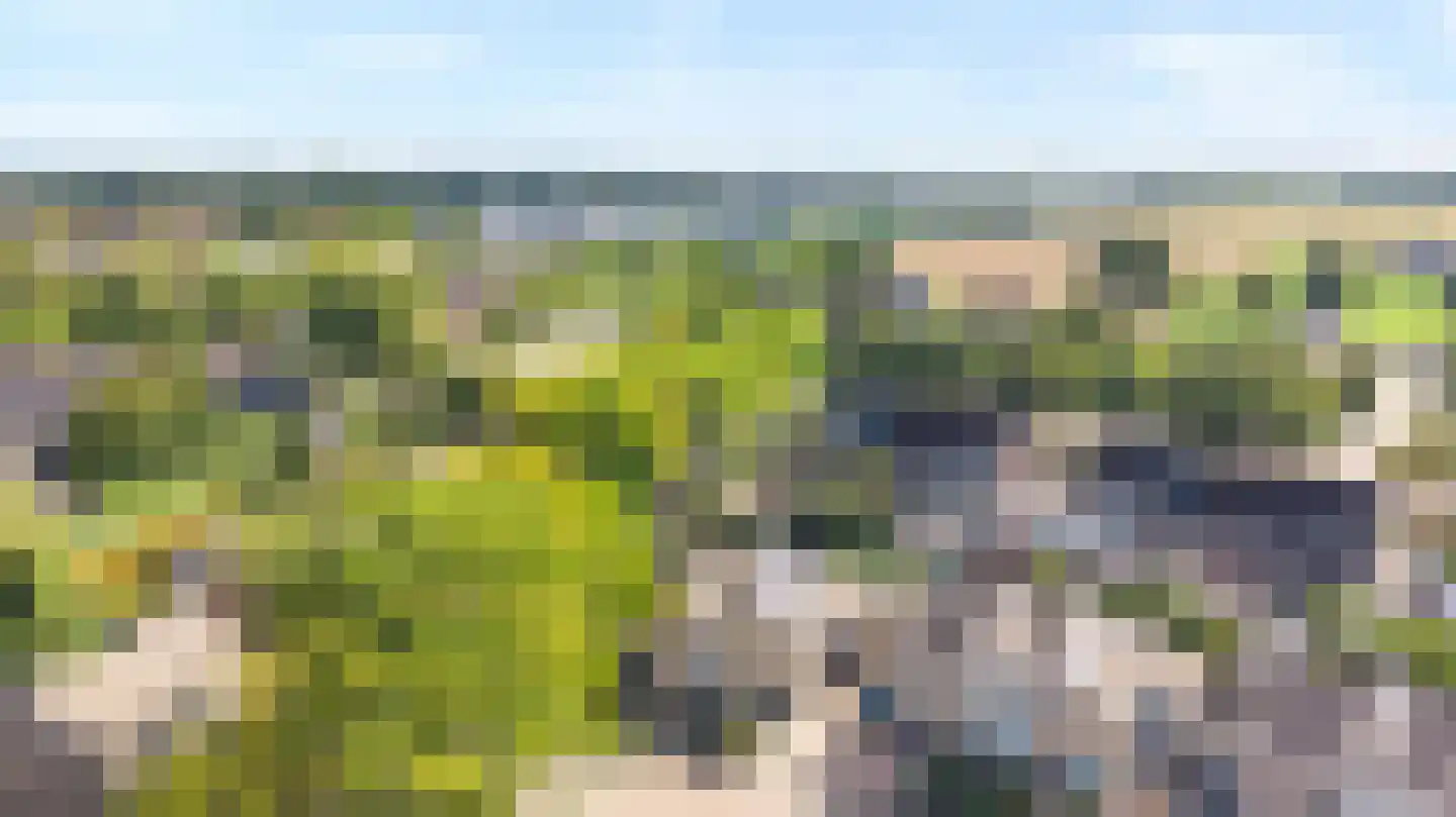 Mantet 3 Duiven thumbnail 57