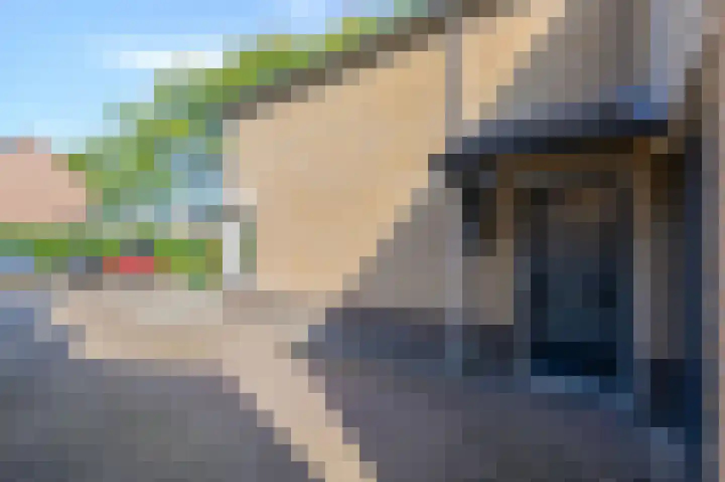 Mantet 3 Duiven thumbnail 9