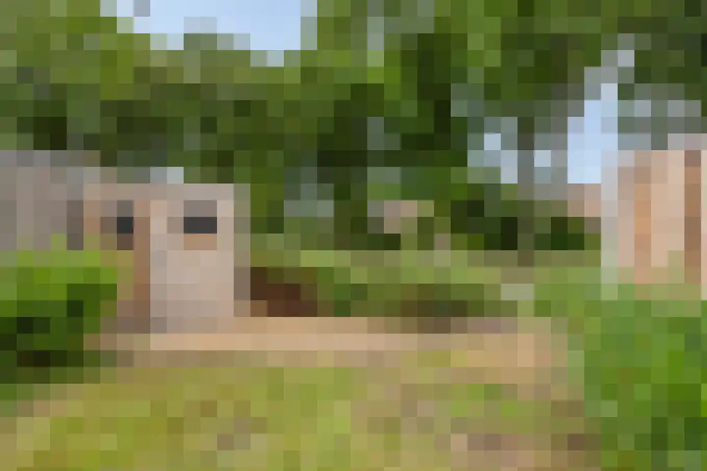 Mantingerbrink 189 Emmen thumbnail 32