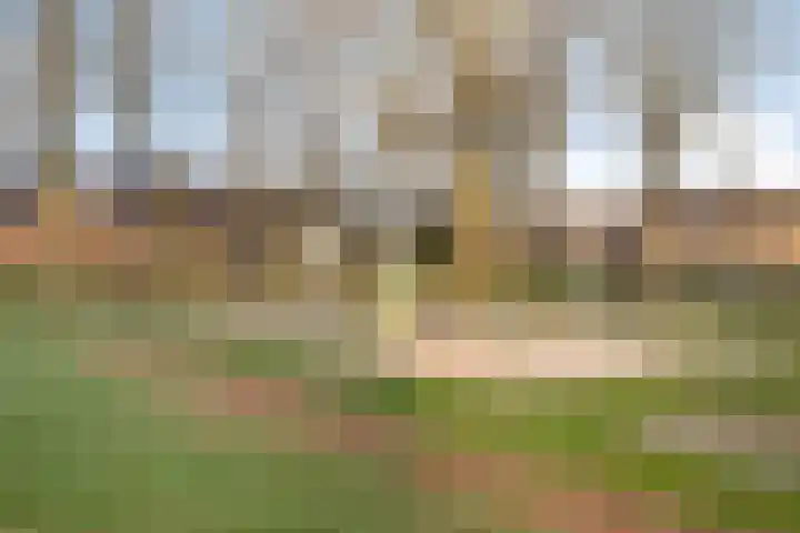 Mantingerbrink 89 Emmen thumbnail 26
