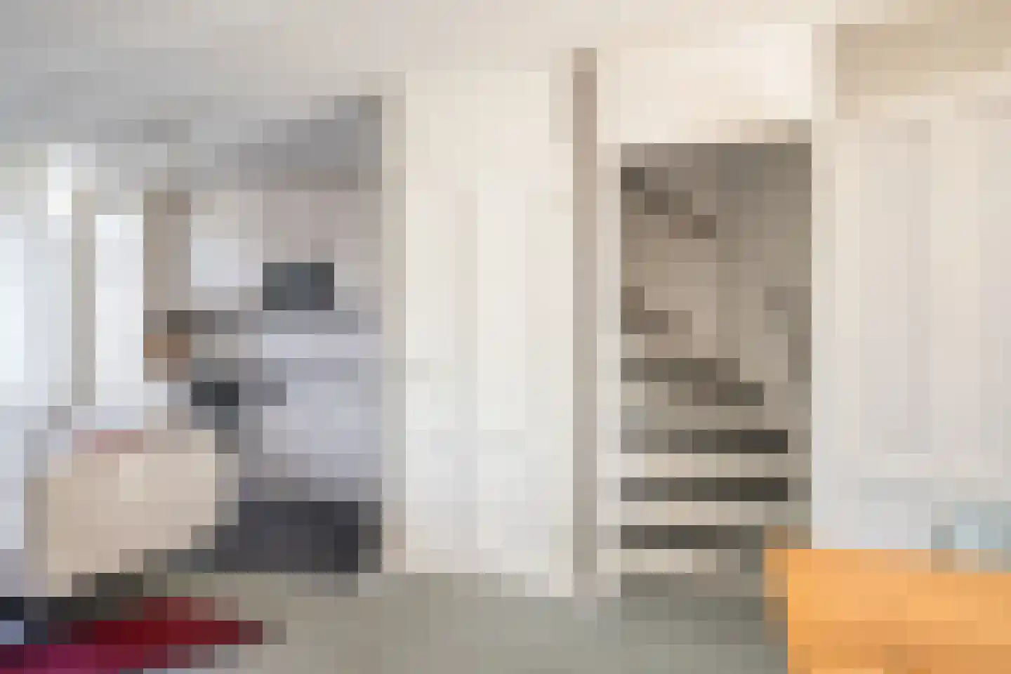 Mantingestraat 17 Tilburg thumbnail 17