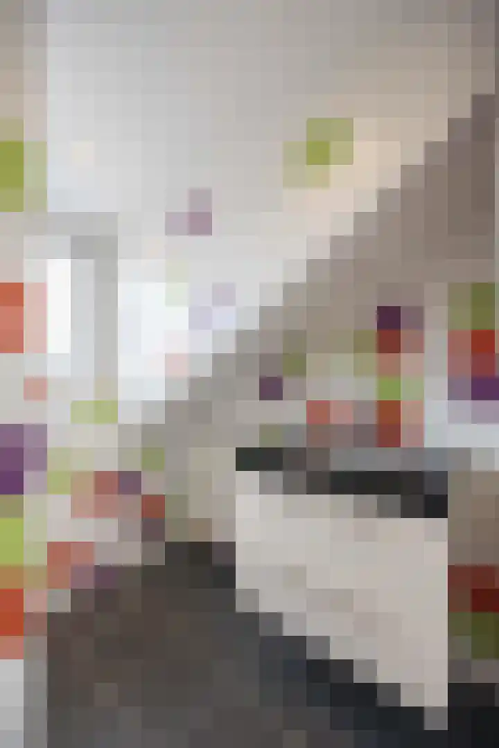 Mantingestraat 37 Tilburg thumbnail 20
