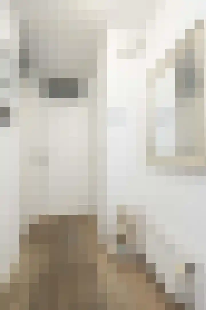Mantingestraat 37 Tilburg thumbnail 9