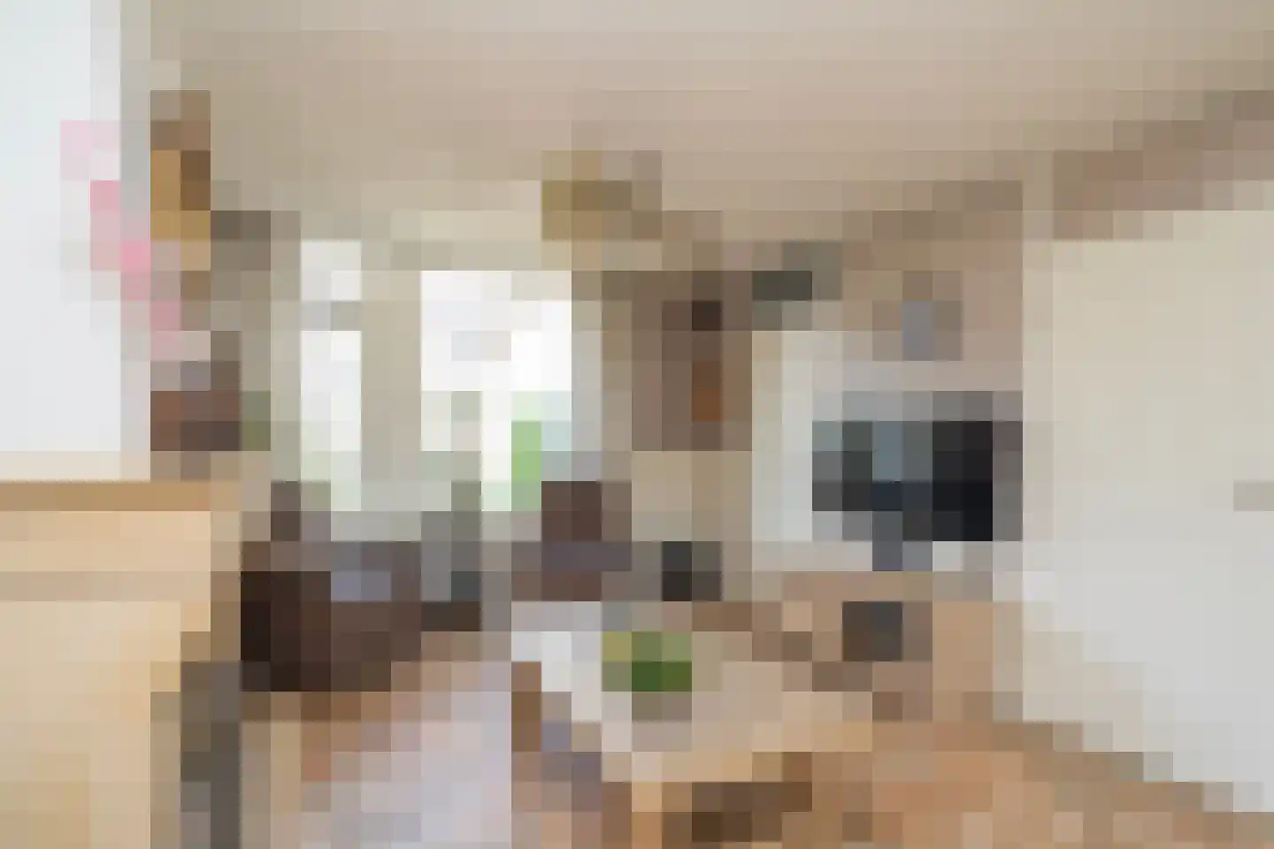 Mantingestraat 39 Tilburg thumbnail 13