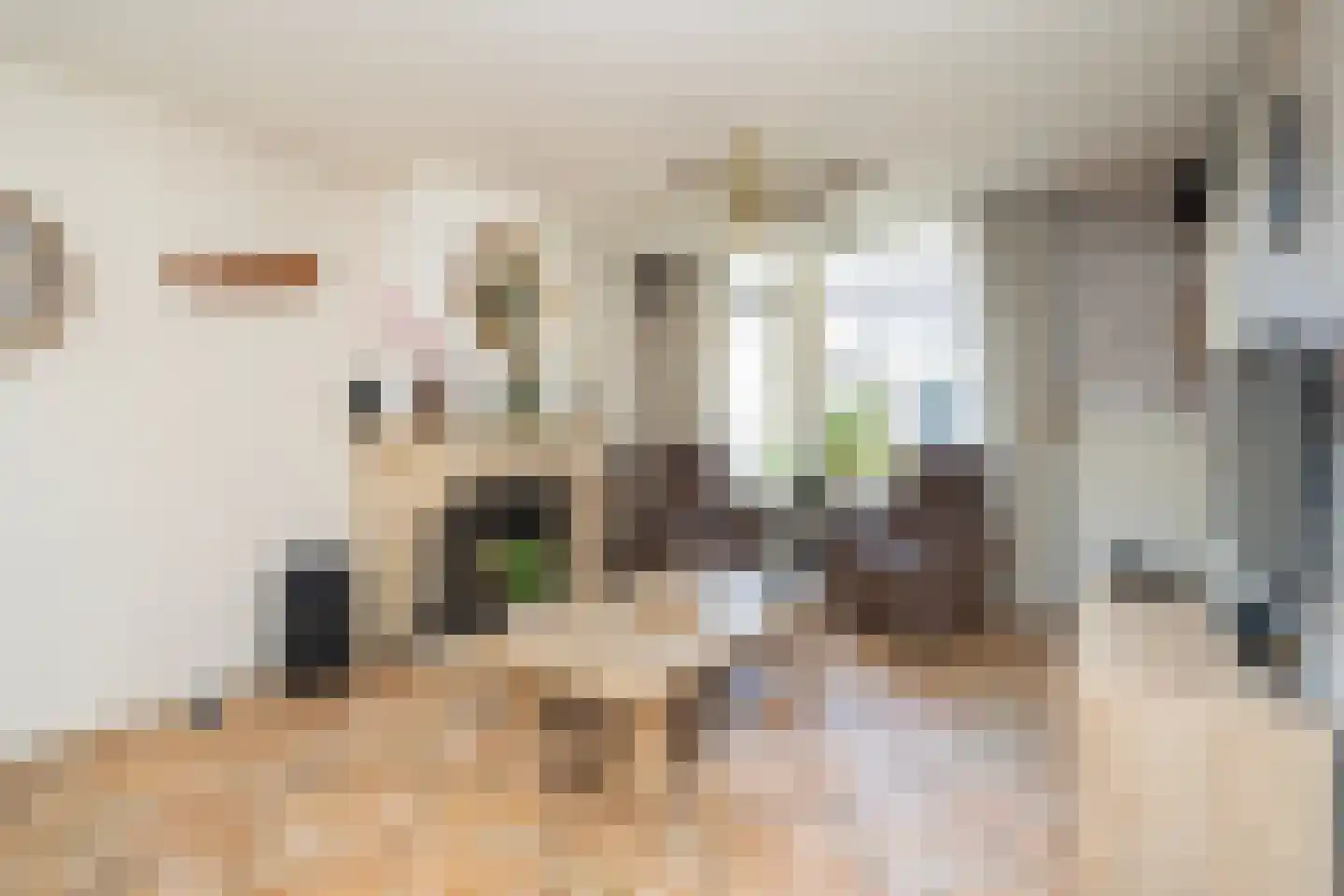 Mantingestraat 39 Tilburg thumbnail 14