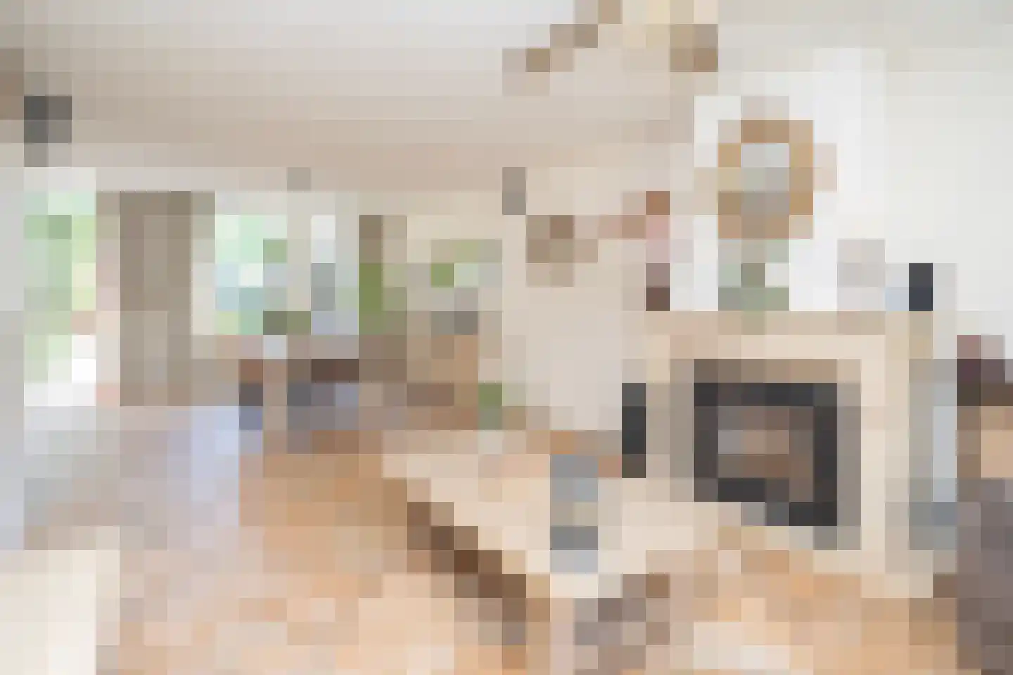 Mantingestraat 39 Tilburg thumbnail 15